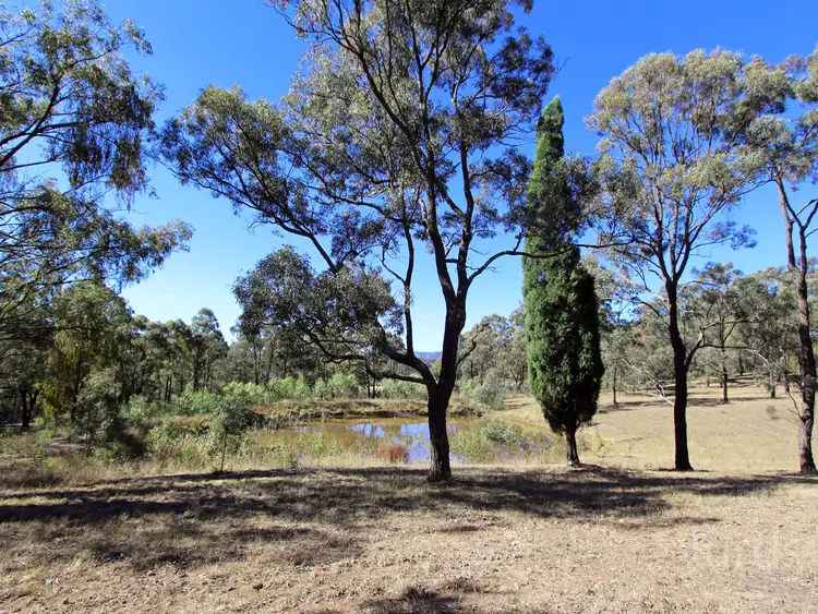 Third view of Homely rural property listing, 101, LOT 101 Milbrodale Road, Broke NSW 2330