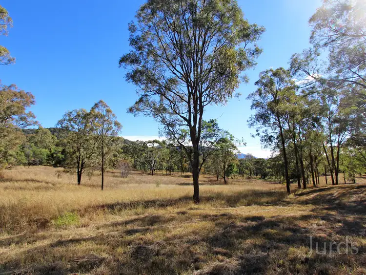 Fifth view of Homely rural property listing, 101, LOT 101 Milbrodale Road, Broke NSW 2330