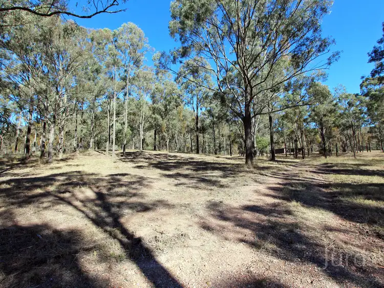 Sixth view of Homely rural property listing, 101, LOT 101 Milbrodale Road, Broke NSW 2330