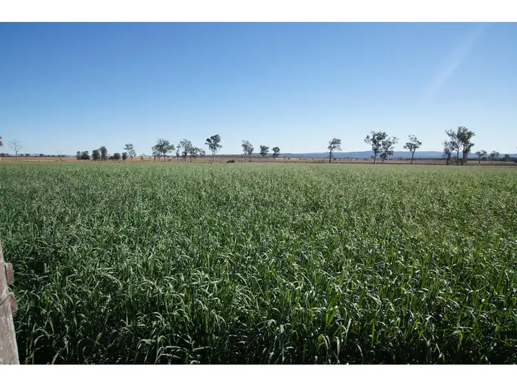 Main view of Homely rural property listing, Lester Road, Morton Vale QLD 4343
