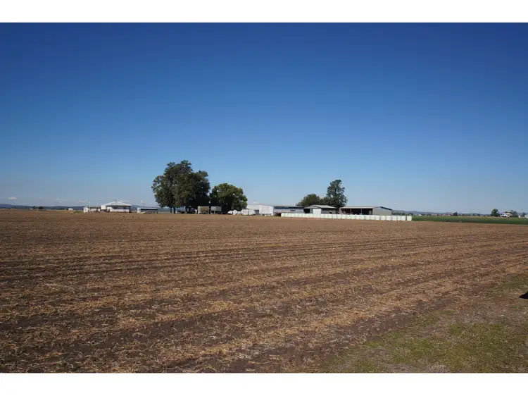 Second view of Homely rural property listing, Lester Road, Morton Vale QLD 4343