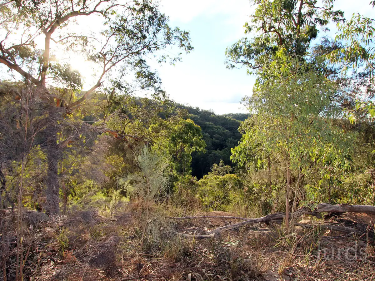 Main view of Homely rural property listing, 259 Boree Track, Laguna NSW 2325