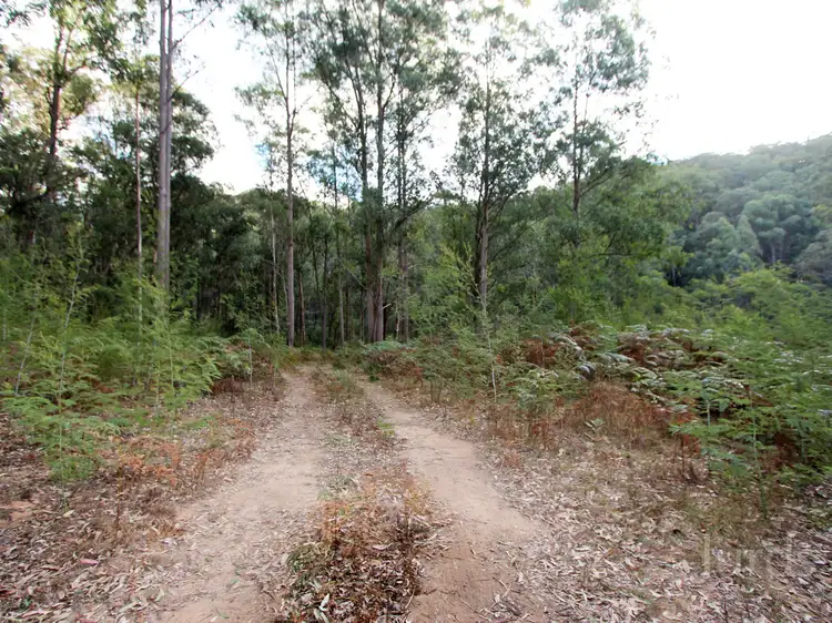 Third view of Homely rural property listing, 259 Boree Track, Laguna NSW 2325