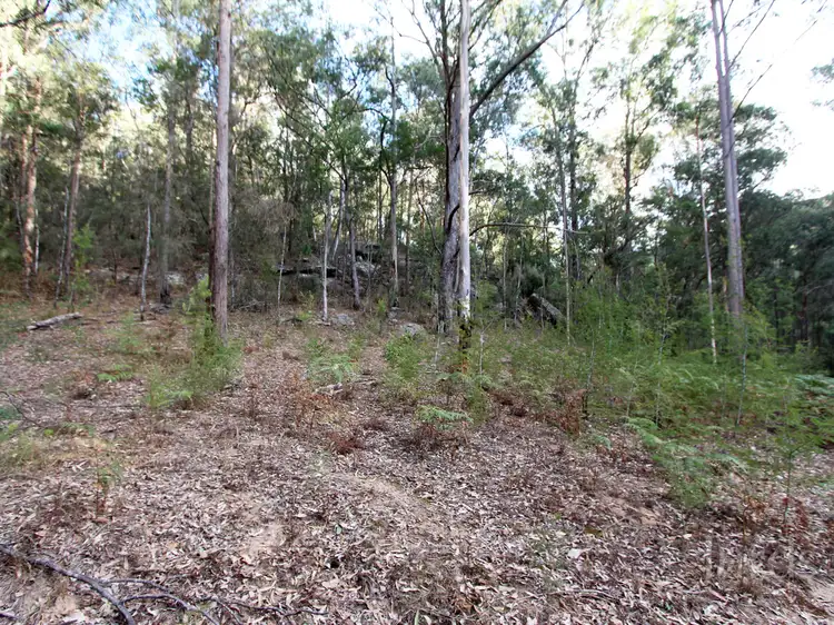 Fourth view of Homely rural property listing, 259 Boree Track, Laguna NSW 2325