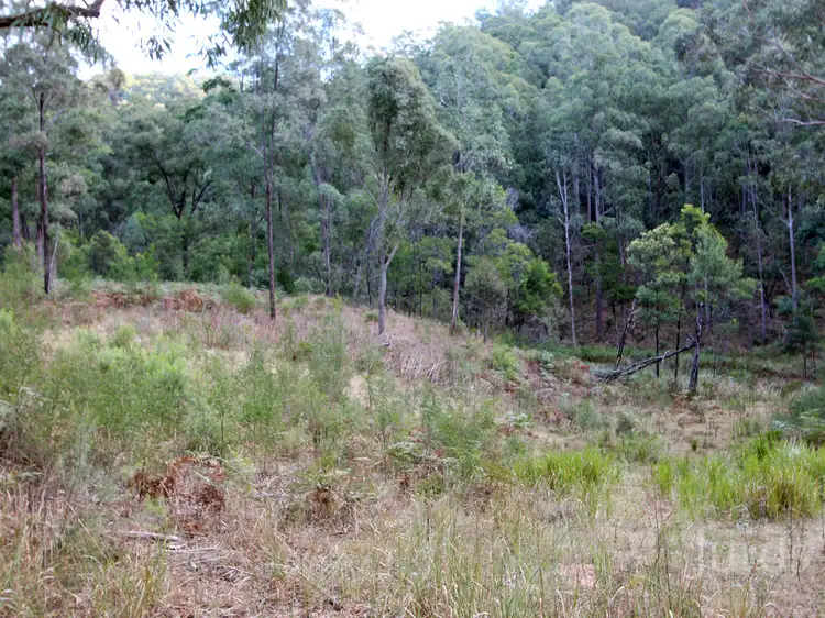 Fifth view of Homely rural property listing, 259 Boree Track, Laguna NSW 2325