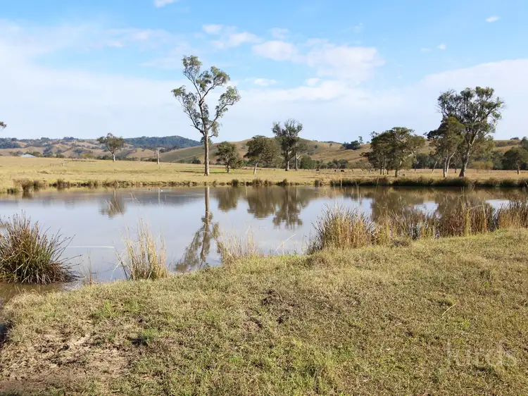 Fifth view of Homely rural property listing, 172 Hanleys Creek Road, Dungog NSW 2420