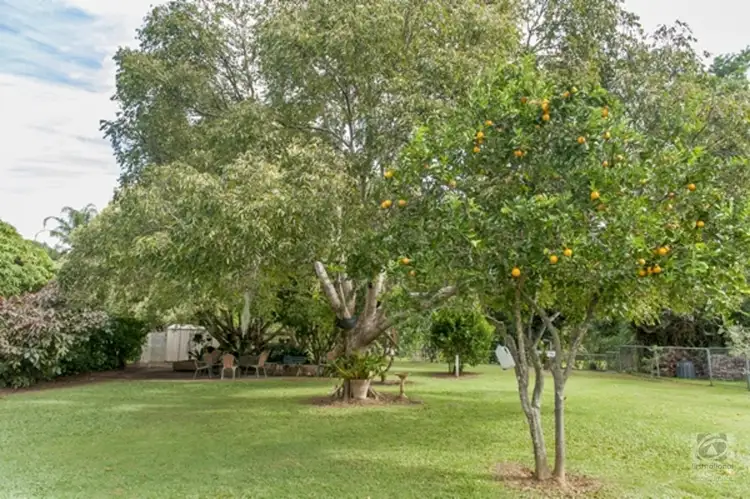 Fourth view of Homely house listing, 6077 Tweed Valley Way, Burringbar NSW 2483