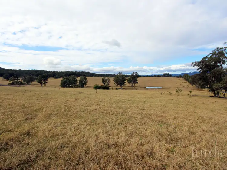 Main view of Homely rural property listing, 21 & 22, LOT 21 & 22 Mount View Road, Millfield NSW 2325
