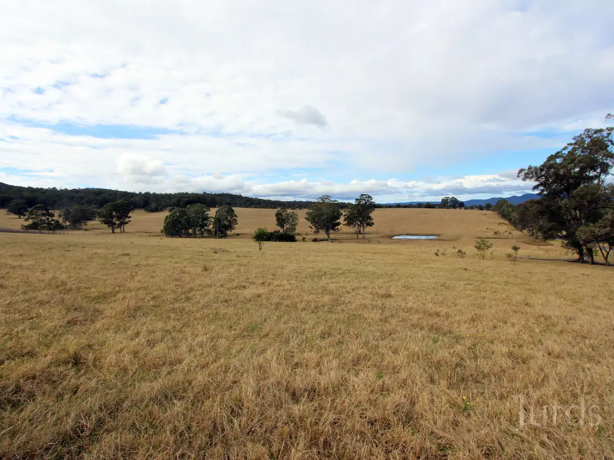 Main view of Homely rural property listing, 21 & 22, LOT 21 & 22 Mount View Road, Millfield NSW 2325
