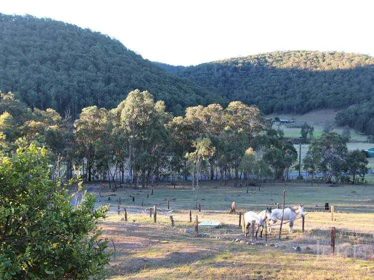 Fourth view of Homely rural property listing, 1739 Wollombi Road, Cedar Creek NSW 2325