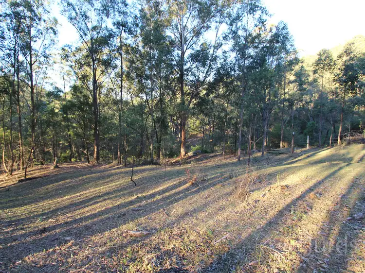 Sixth view of Homely rural property listing, 1739 Wollombi Road, Cedar Creek NSW 2325