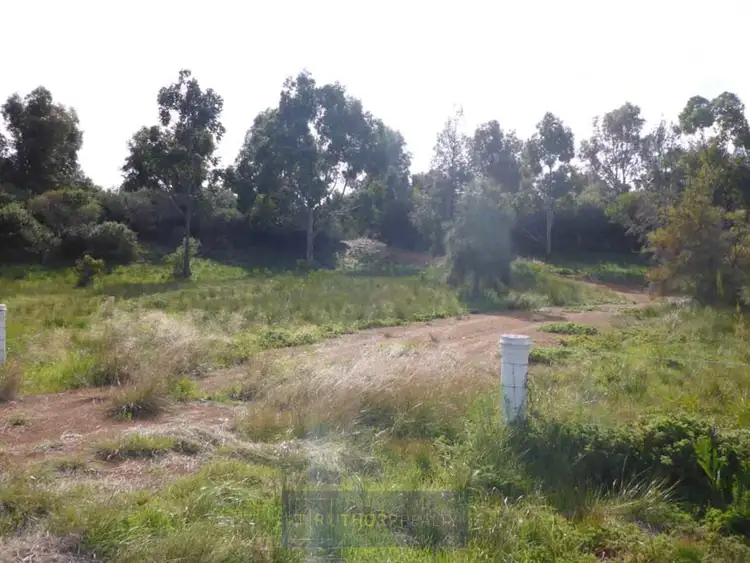 Sixth view of Homely rural property listing, LOT 125, 130 Sanctuary Crescent, Pink Lake WA 6450