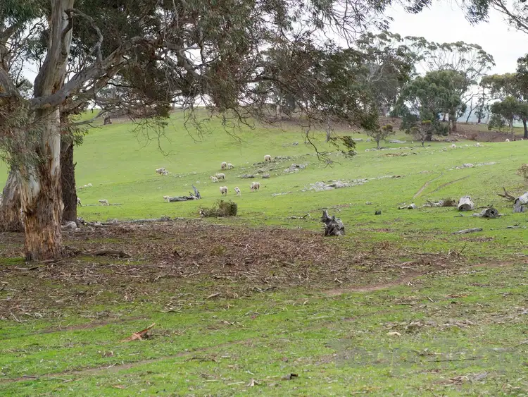 Sixth view of Homely land listing, Lots 8-11 Range Road, Woodside SA 5244