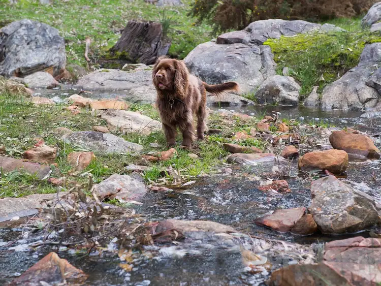 Seventh view of Homely land listing, Lots 8-11 Range Road, Woodside SA 5244