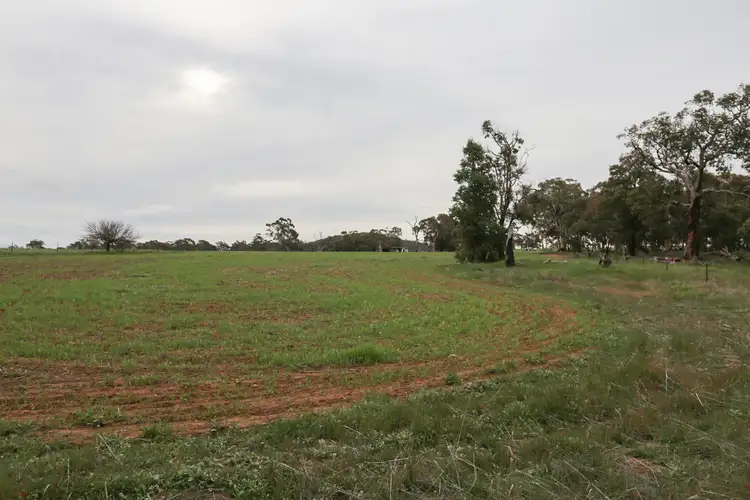 Sixth view of Homely rural property listing, 425 Eadine Road, Clackline WA 6564