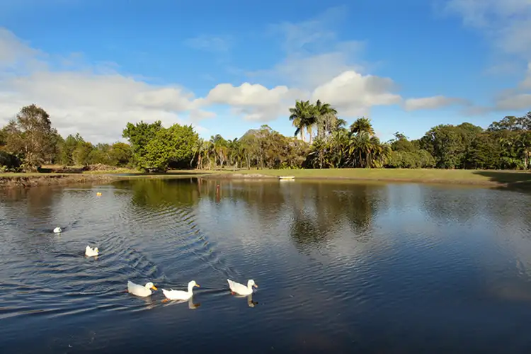 Third view of Homely land listing, 45A Pavilion Street, Pomona QLD 4568