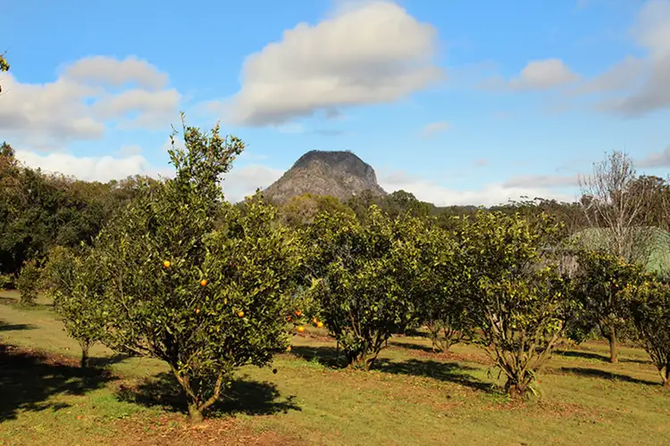 Sixth view of Homely land listing, 45A Pavilion Street, Pomona QLD 4568