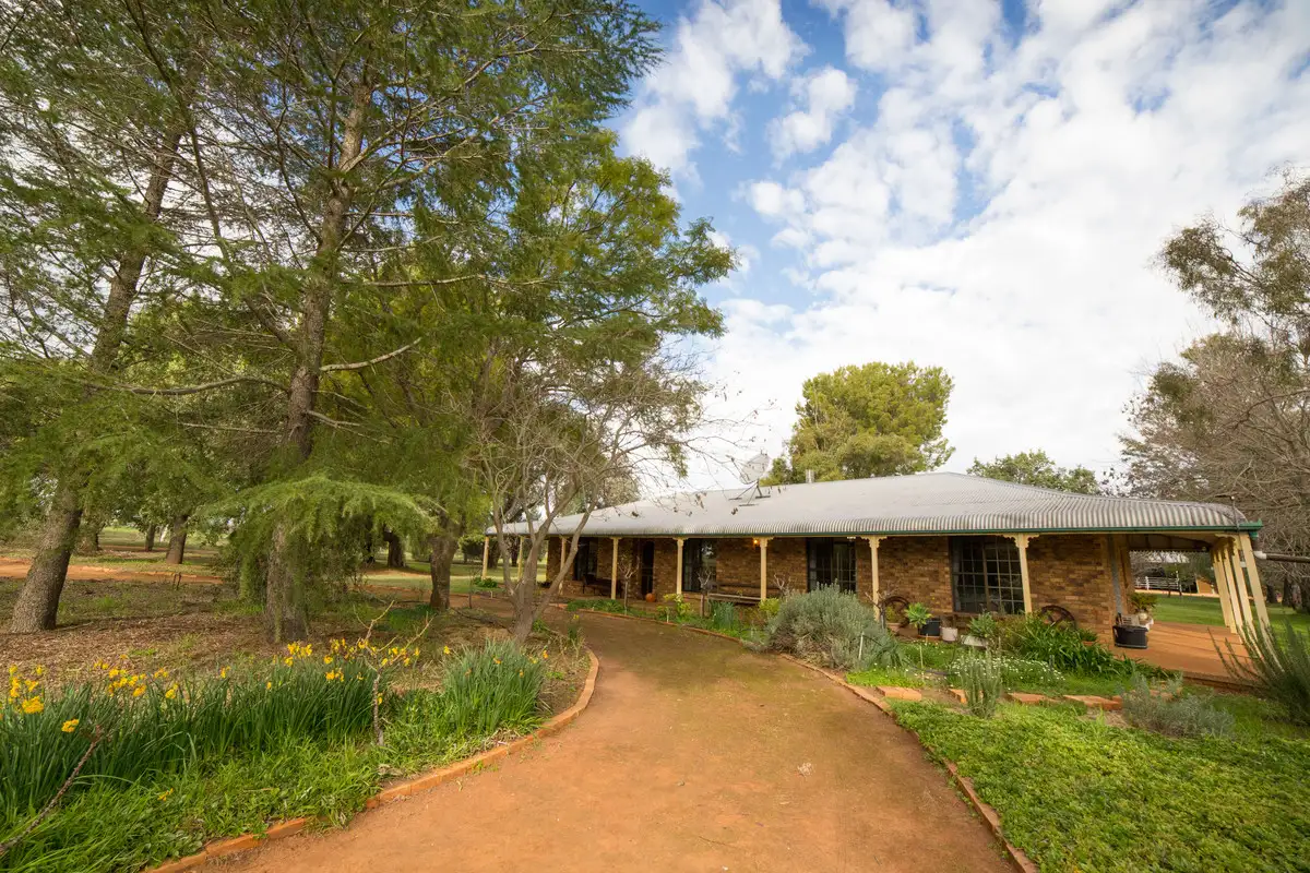 Main view of Homely rural property listing, 7R Yallamba Road, Dubbo NSW 2830