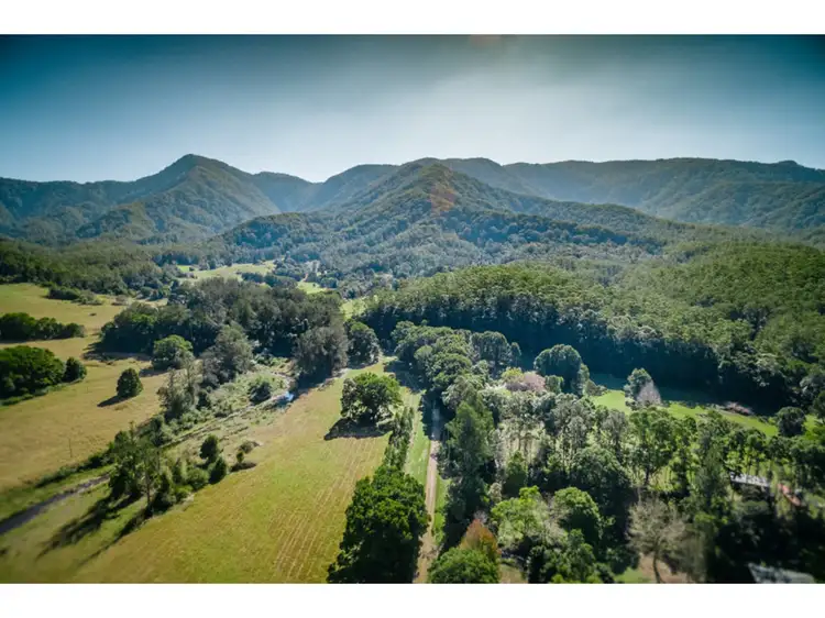 41 Buffer Creek Road, Bellingen NSW 2454