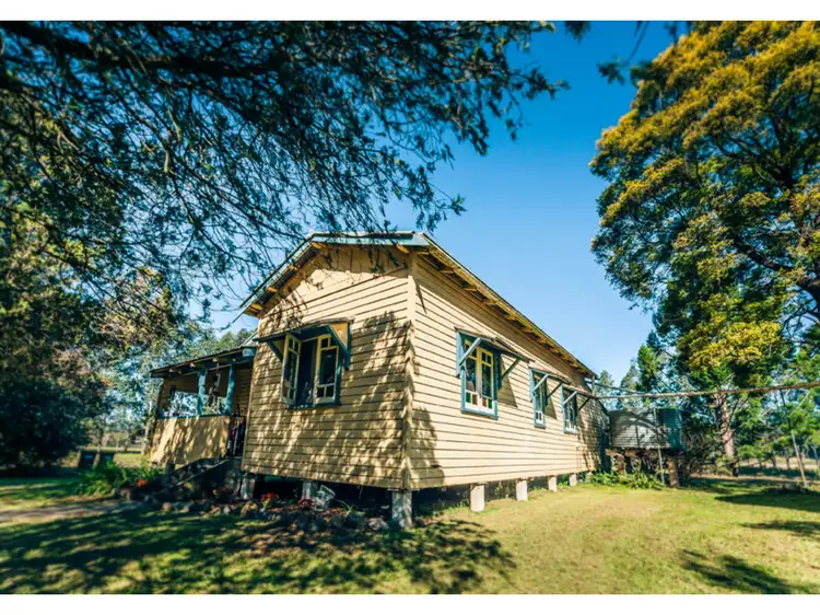 Second view of Homely rural property listing, 41 Buffer Creek Road, Bellingen NSW 2454
