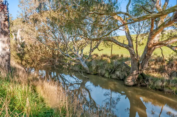 Third view of Homely rural property listing, Murphys Run, Winchelsea South VIC 3241