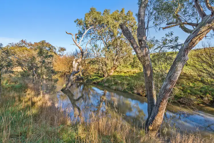 Fourth view of Homely rural property listing, Murphys Run, Winchelsea South VIC 3241