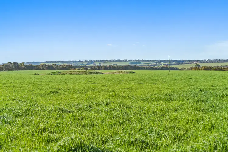 Fifth view of Homely rural property listing, Murphys Run, Winchelsea South VIC 3241