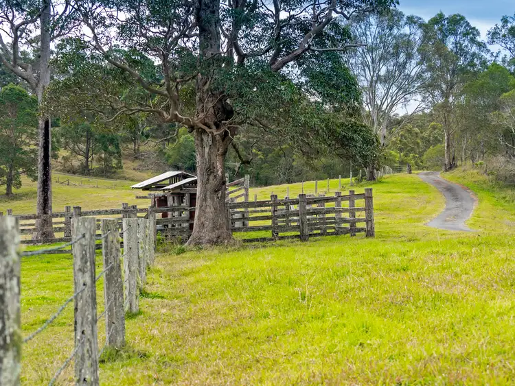 Second view of Homely rural property listing, 124 Austin Road, Mount Mee QLD 4521