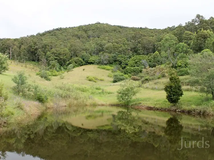 Third view of Homely rural property listing, 10 Pyne Way, Mount View NSW 2325