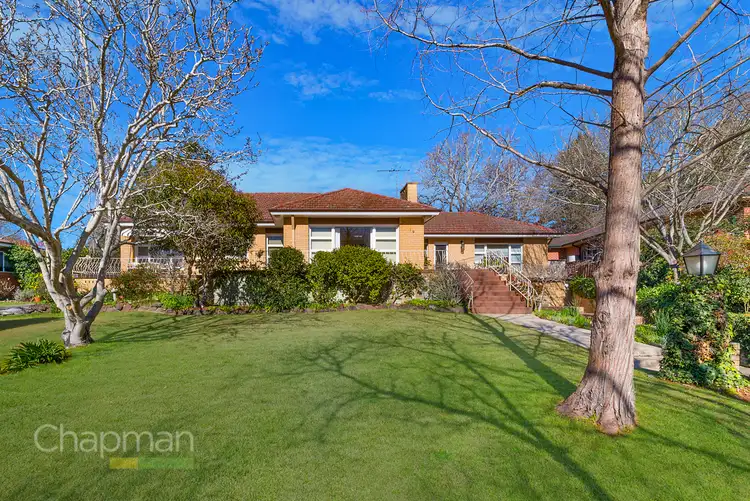 19 Boorea Street, Blaxland NSW 2774