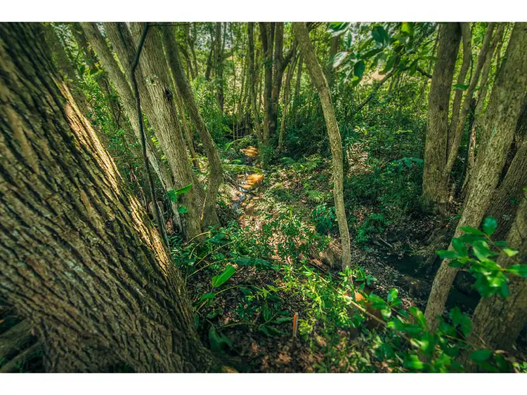 Seventh view of Homely land listing, No 8a Lot 2, 3 & 4 Endeavour Drive, Bellingen NSW 2454