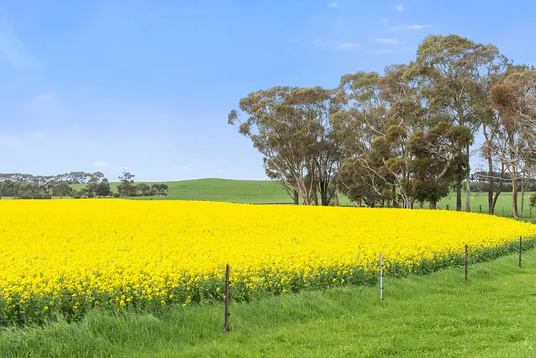 Fourth view of Homely rural property listing, 135 Eurack Road, Beeac VIC 3251