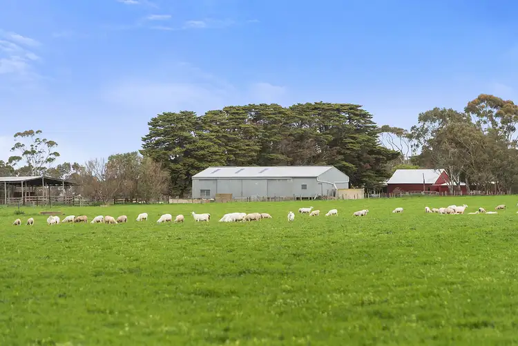 Fifth view of Homely rural property listing, 135 Eurack Road, Beeac VIC 3251