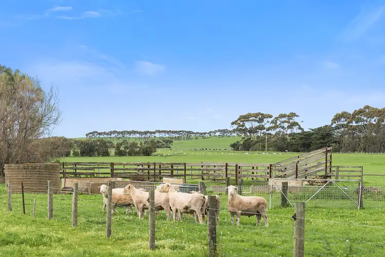 Sixth view of Homely rural property listing, 135 Eurack Road, Beeac VIC 3251
