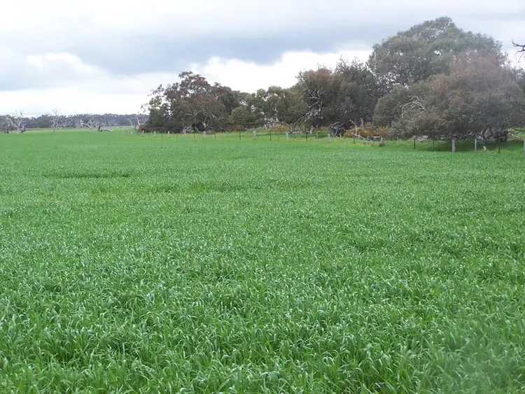 Third view of Homely rural property listing, Rokewood-Meadows Road, Rokewood VIC 3330