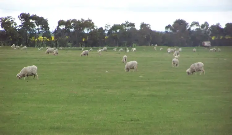 Sixth view of Homely rural property listing, Rokewood-Meadows Road, Rokewood VIC 3330