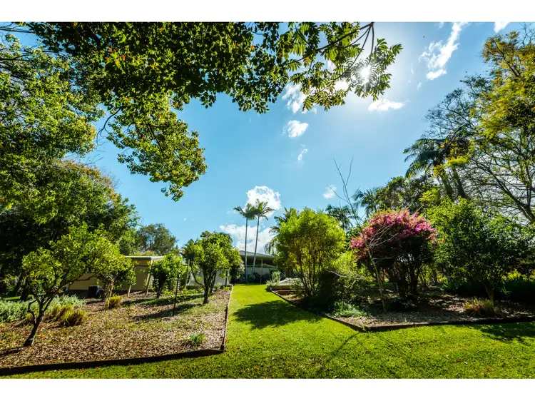2 Tibouchina Close, Bellingen NSW 2454