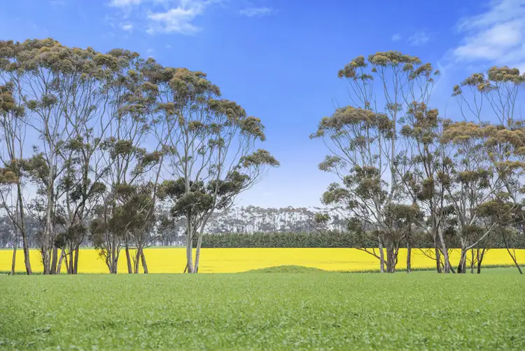 Main view of Homely rural property listing, 7520 Hamilton Highway, Berrybank VIC 3323
