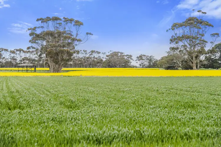Fourth view of Homely rural property listing, 7520 Hamilton Highway, Berrybank VIC 3323