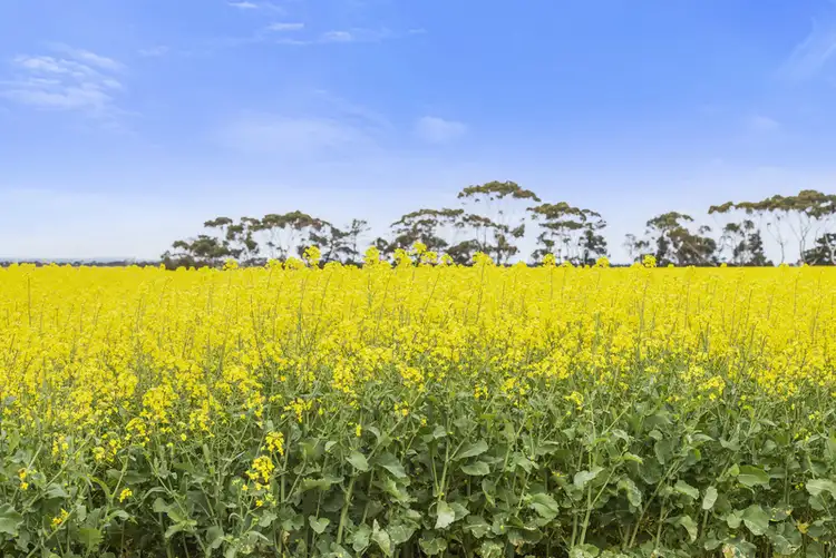 Fifth view of Homely rural property listing, 7520 Hamilton Highway, Berrybank VIC 3323