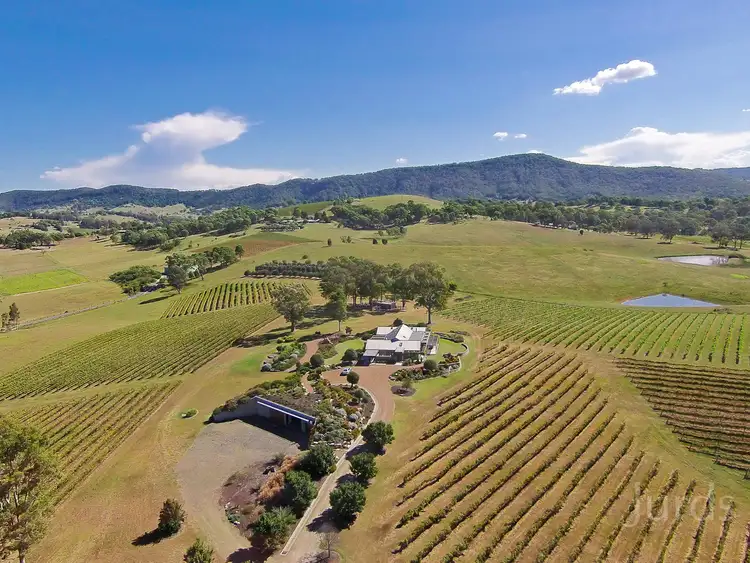 Main view of Homely rural property listing, 119 Marrowbone Road, Pokolbin NSW 2320