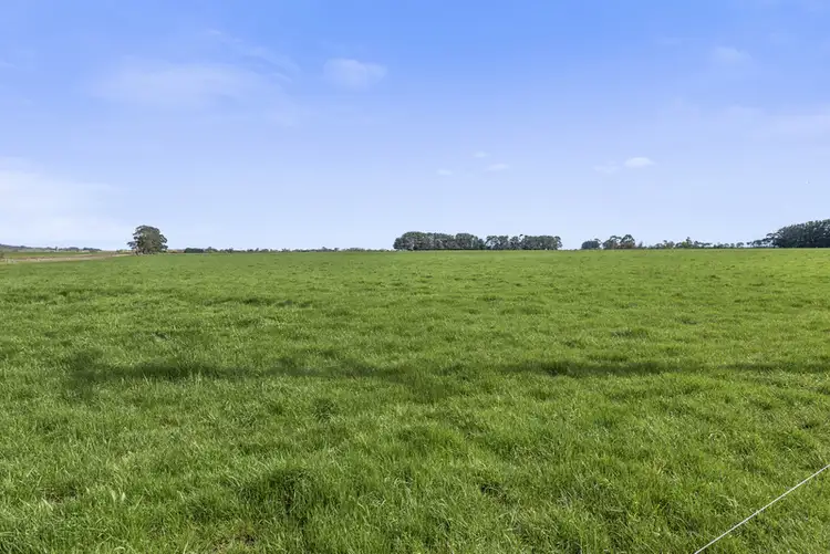 Sixth view of Homely rural property listing, 185 Wire Lane, Camperdown VIC 3260