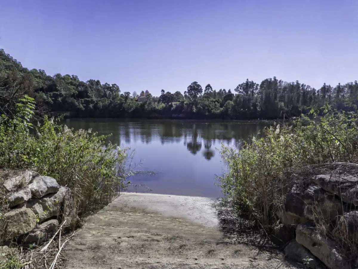 Main view of Homely rural property listing, 825 River Road, Lower Portland NSW 2756