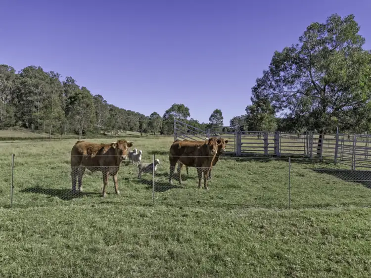 Fourth view of Homely rural property listing, 825 River Road, Lower Portland NSW 2756