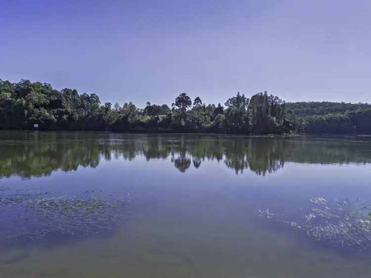 Fifth view of Homely rural property listing, 825 River Road, Lower Portland NSW 2756