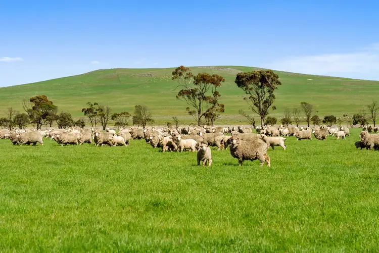 Lismore Skipton Road, Skipton VIC 3361