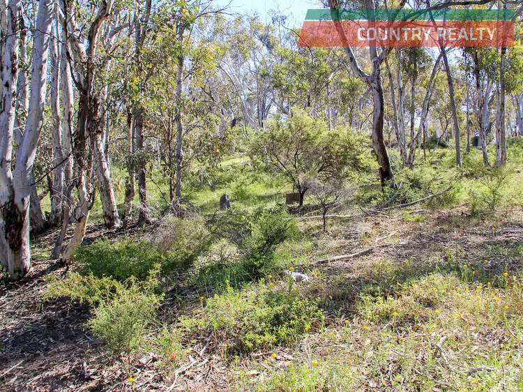 Fifth view of Homely land listing, 325 Coondle West Road, Toodyay WA 6566