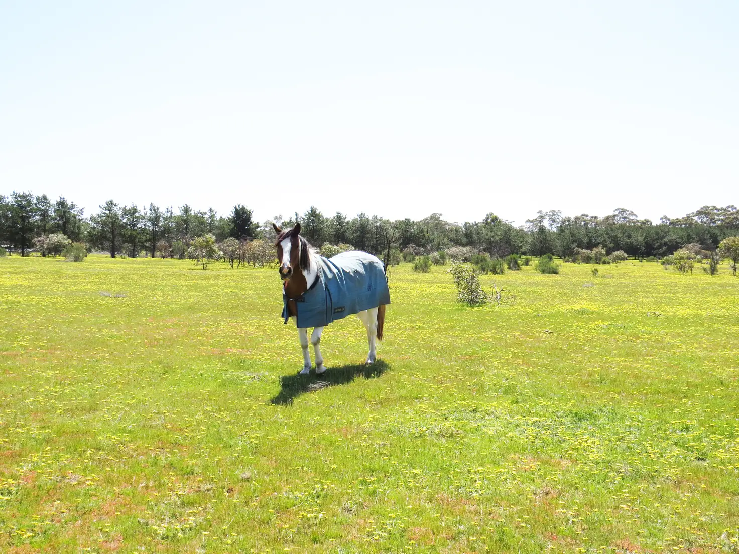 Main view of Homely land listing, LOT 5 McNutts Lane, Heathcote VIC 3523