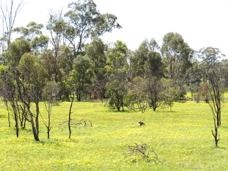 Third view of Homely land listing, LOT 5 McNutts Lane, Heathcote VIC 3523