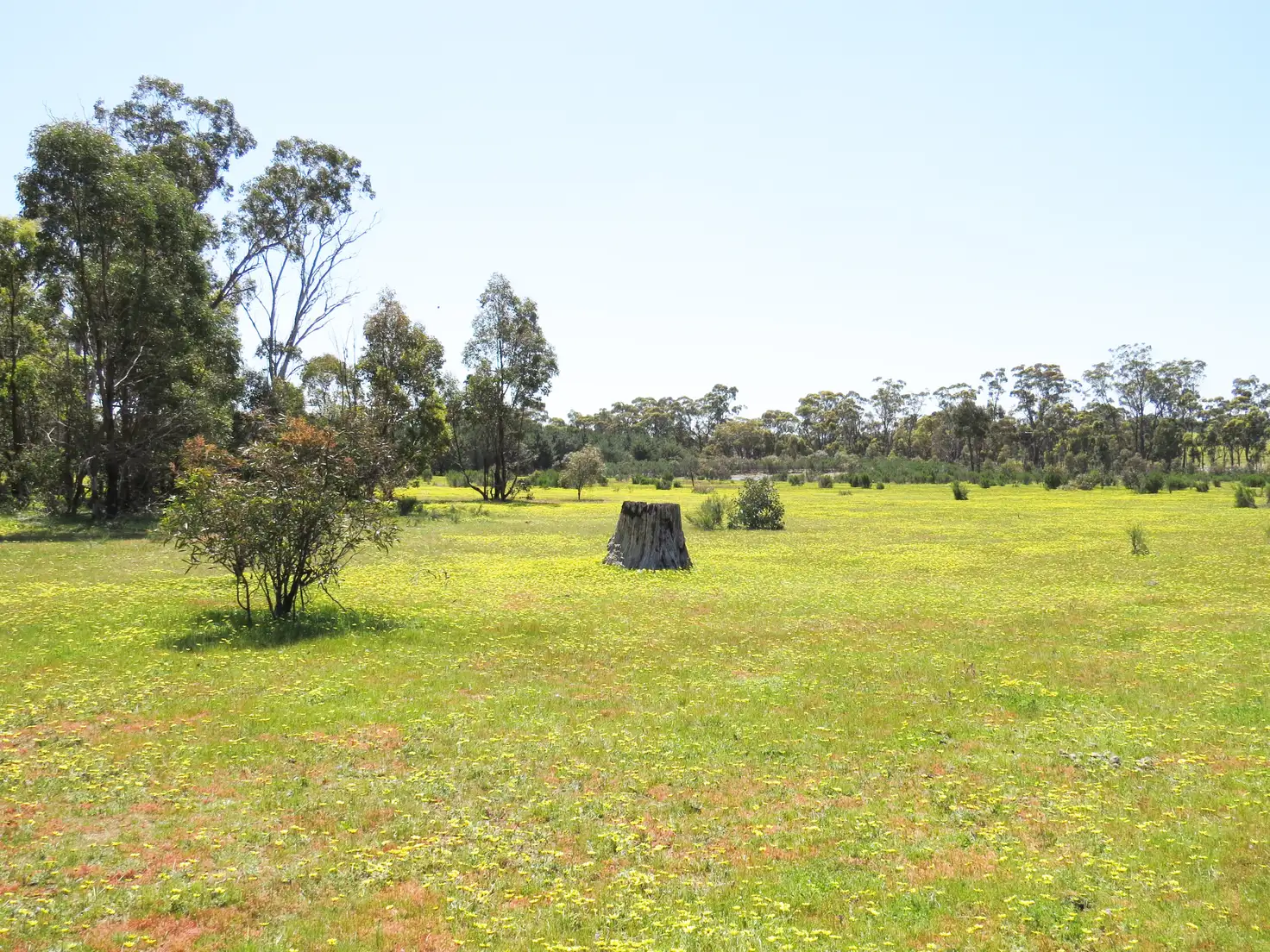 Main view of Homely land listing, LOT 6 McNutts Lane, Heathcote VIC 3523